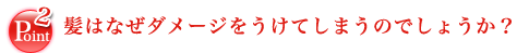 髪はなぜダメージをうけてしまうのでしょうか？