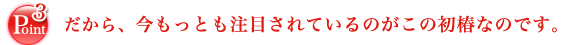 だから、今最も注目されているのがこの初椿なのです